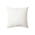 Cushion insert