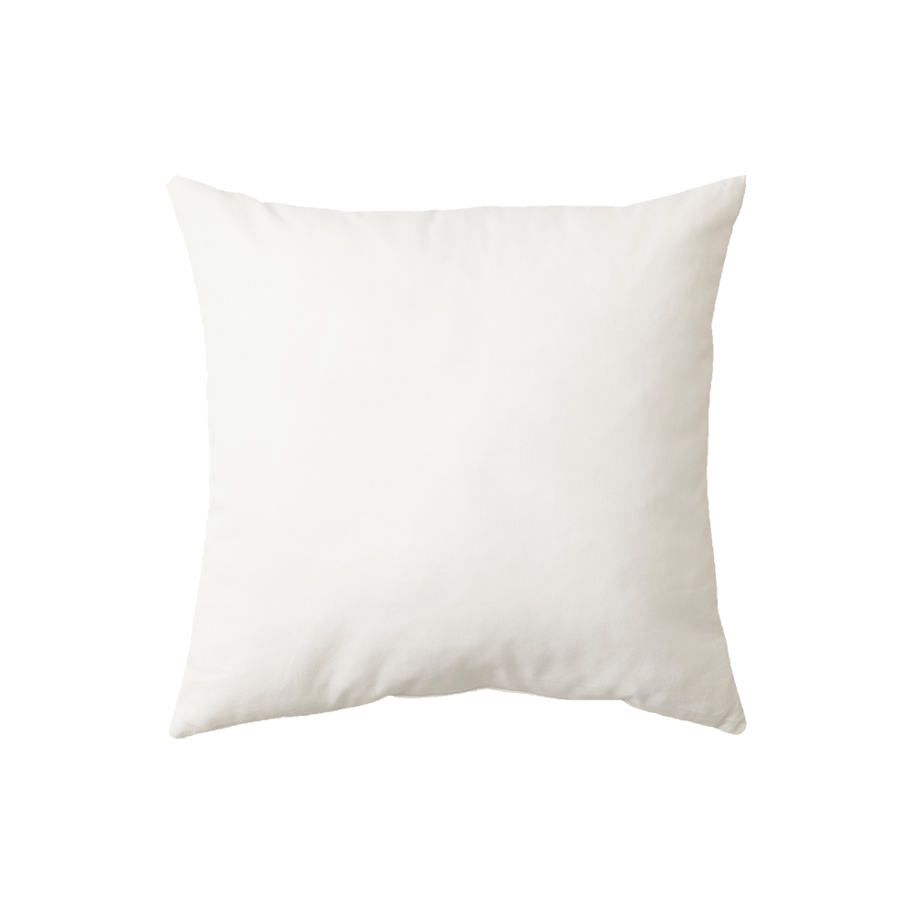 Cushion insert
